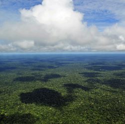 Amazônia