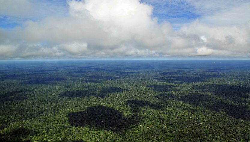 Amazônia