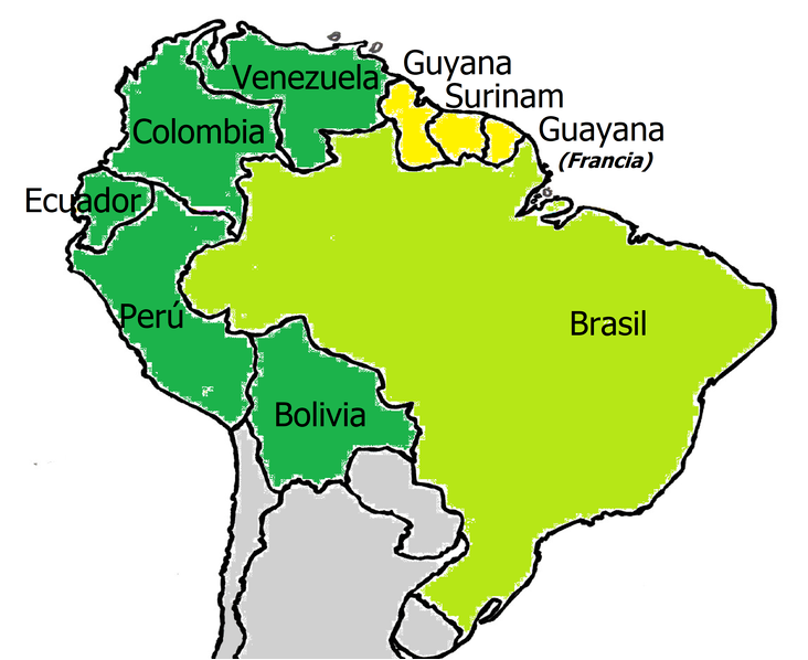 Países amazônicos