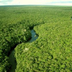 Países amazônicos pedem ao BID que estruture financiamento para sustentabilidade