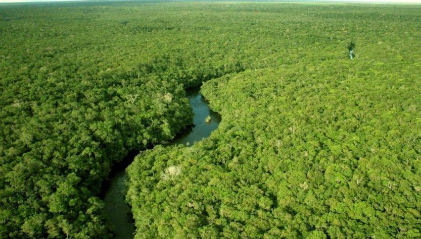 Países amazônicos pedem ao BID que estruture financiamento para sustentabilidade