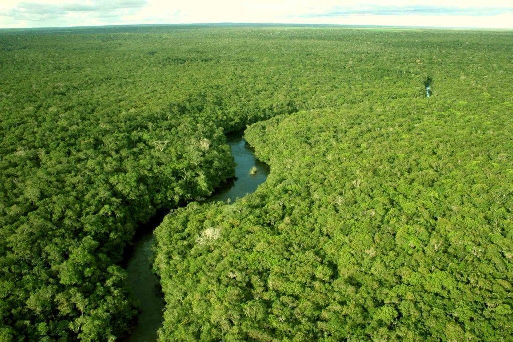 Países amazônicos pedem ao BID que estruture financiamento para sustentabilidade