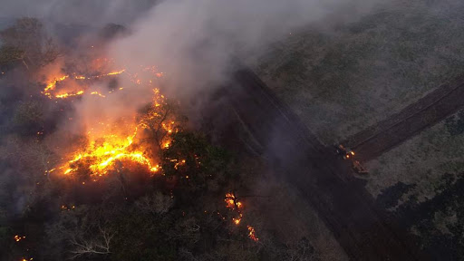 Incêndio no Pantanal derruba presidente do ICMBio