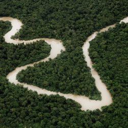 Documentário 'Amazônia Eterna' será exibido em comemoração ao Dia da Amazônia