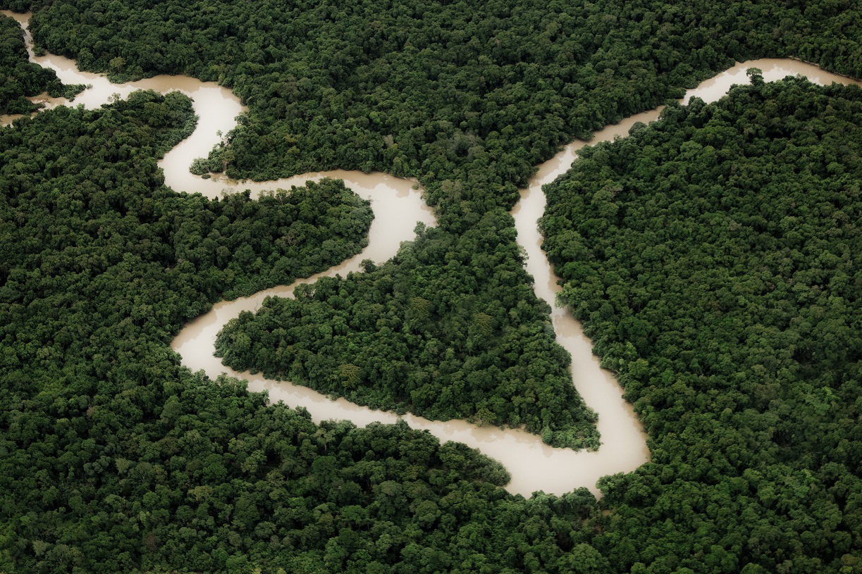 Documentário 'Amazônia Eterna' será exibido em comemoração ao Dia da Amazônia