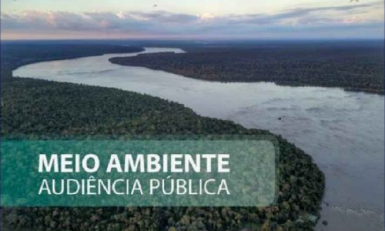 Realização de audiências públicas virtuais garante andamento de licenciamentos ambientais durante a pandemia