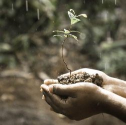 desafios da sustentabilidade para as próximas gerações