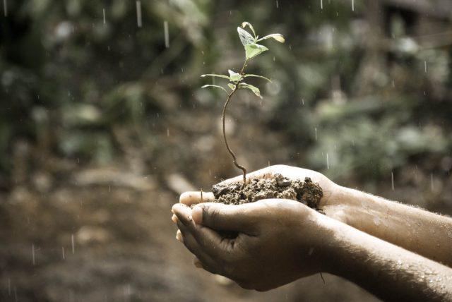 desafios da sustentabilidade para as próximas gerações