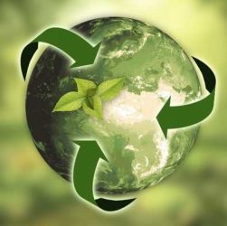 Sustentabilidade: você está comprado nessa ideia?