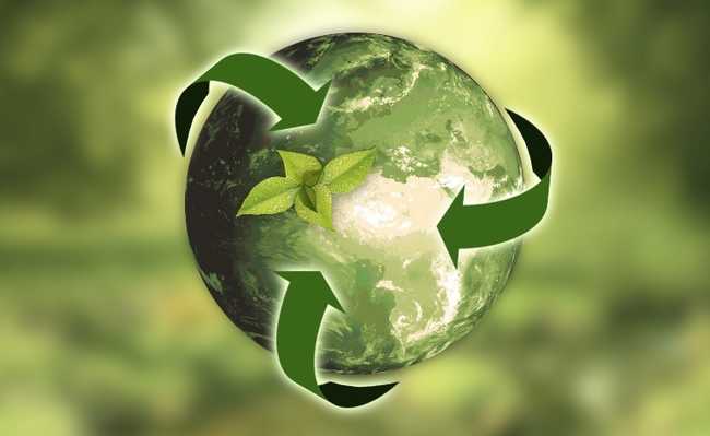 Sustentabilidade: você está comprado nessa ideia?