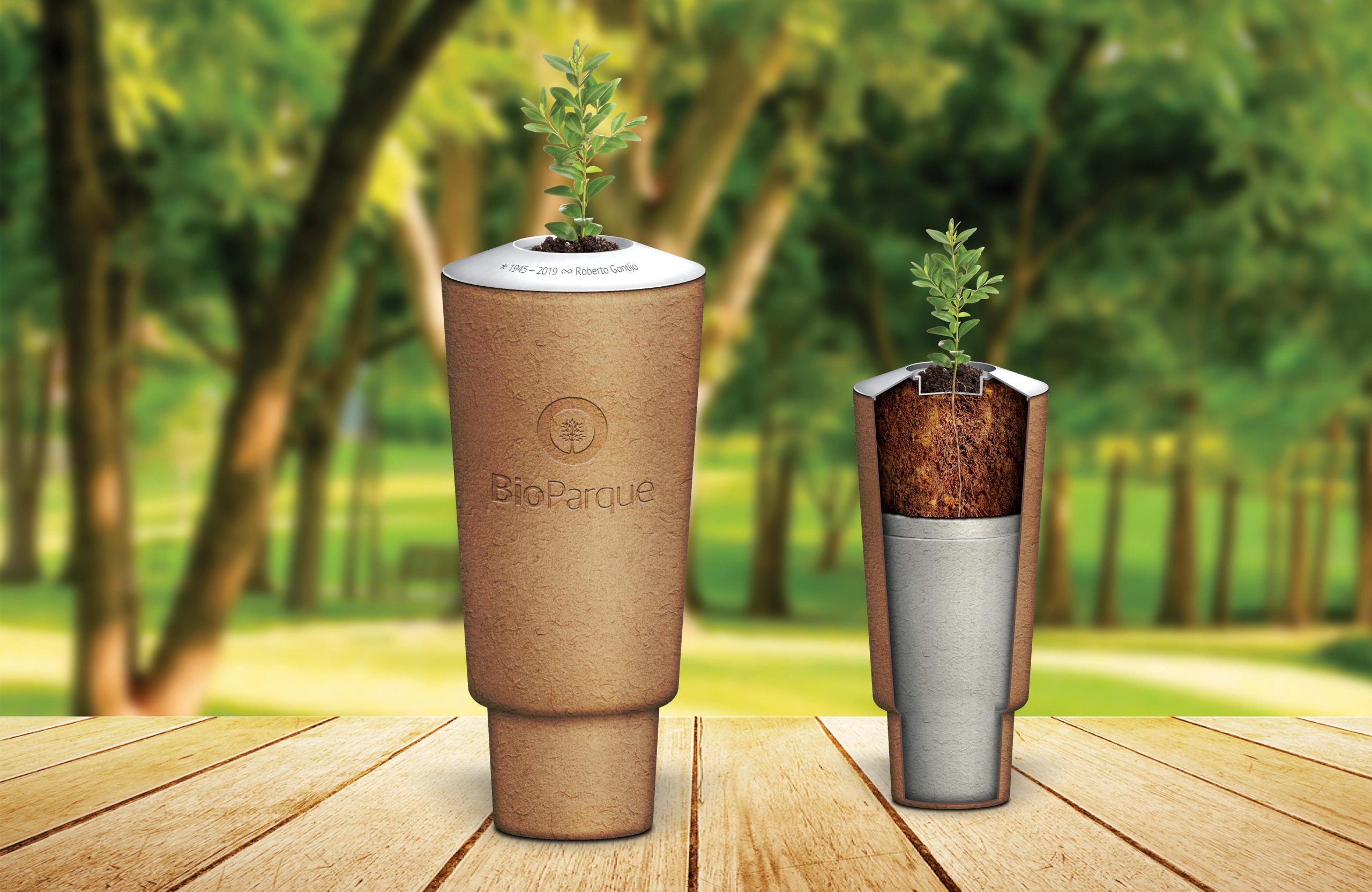 BioParque e KPMG investem no primeiro fundo de investimento ESG do mercado póstumo brasileiro