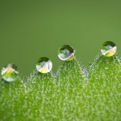 O mercado de produtos sustentáveis vem crescendo cada vez mais, junto a isso indústrias vem ganhando força utilizando a sustentabilidade como um dos príncipios primordiais para ganhar os clientes e ajudar o meio ambiente.