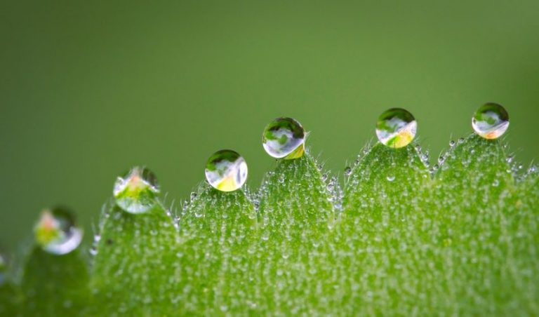 O mercado de produtos sustentáveis vem crescendo cada vez mais, junto a isso indústrias vem ganhando força utilizando a sustentabilidade como um dos príncipios primordiais para ganhar os clientes e ajudar o meio ambiente.