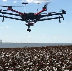 Agricultura de precisão e digital: uma das áreas mais promissoras e desafiadoras para o agro