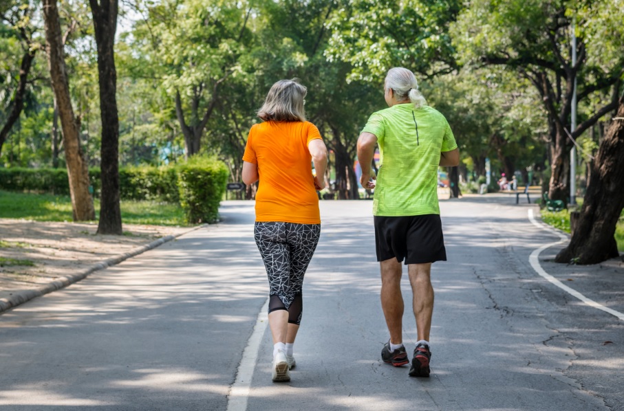 Colaboradores Hutrin, HRL, HRF e São Luís
