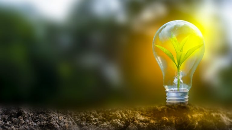 Estudo inédito revela que valores ligados às relações humanas ganham força no outro normal