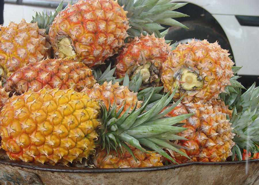 Paraíba ganha zoneamento de solo e clima com acesso público