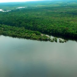 Agência Brasil: Governadores enviam carta à Estados Unidos sobre clima