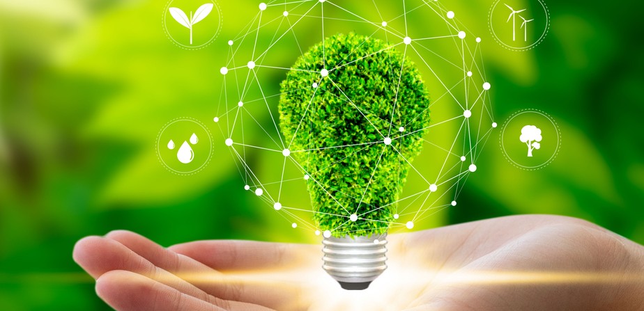 De energia solar a saúde mental: Brasil tem 343 startups voltadas ao ESG, mostra estudo da ACE