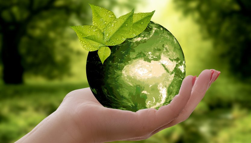 IFS define estratégia para sustentabilidade para os próximos anos.