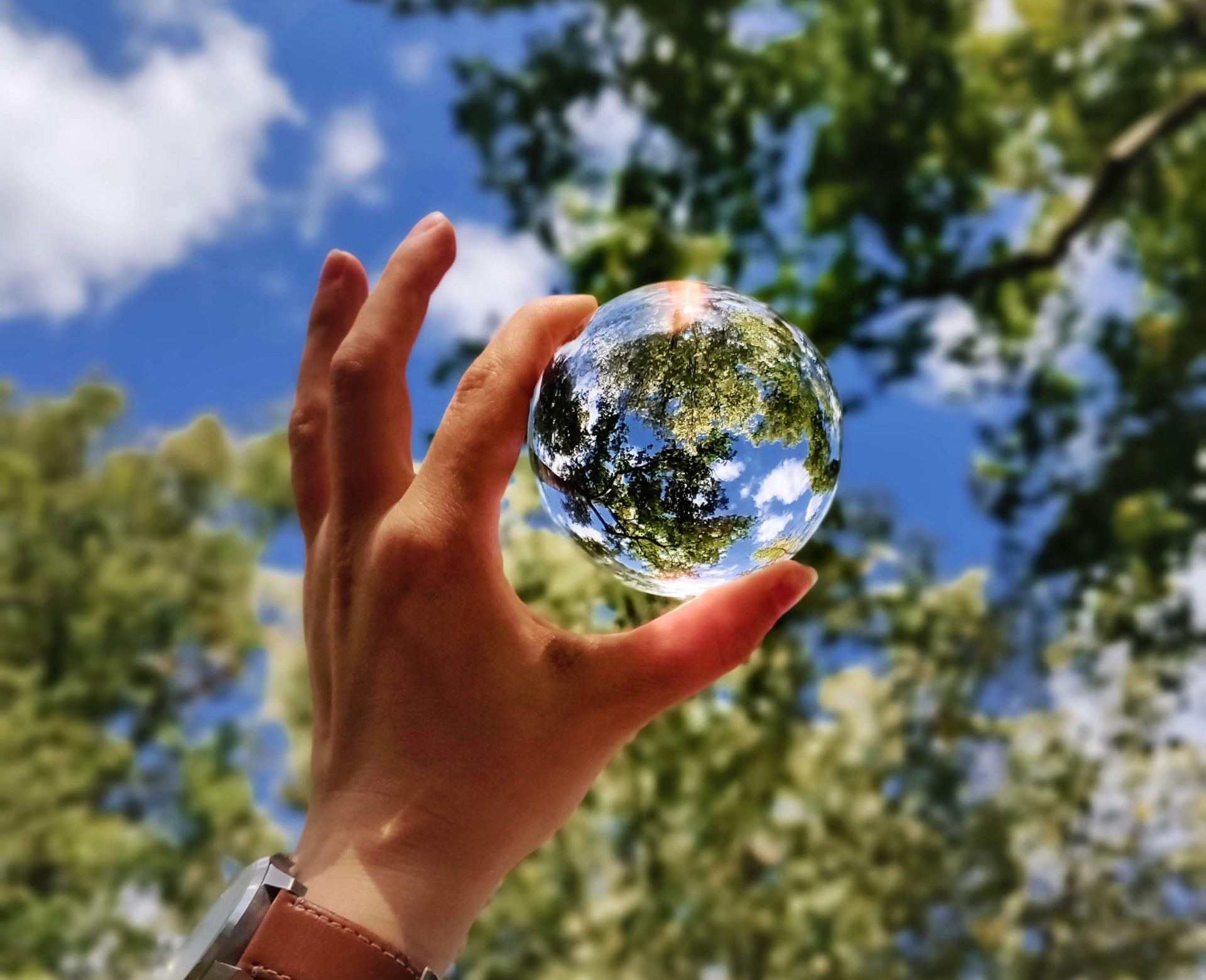 As 13 obrigações dos Estados levantadas pelo Pnuma têm força normativa/Foto: Tomas Sobek/Unsplash