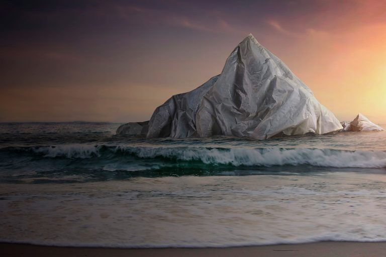 “Who Cares, Who Does?” pontua importância da sustentabilidade para as marcas