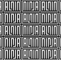 Tudo parte de um questionamento: como os jornalistas formados e atuantes nos veículos tradicionais receberam, em 2013, a grande novidade das narrativas independentes, em especial da Mídia Ninja?