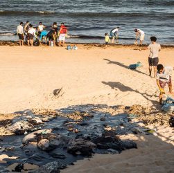 O Conselho Pastoral dos Pescadores é uma pastoral social ligada a Comissão Episcopal Pastoral para a Ação Social Transformadora da Conferência Nacional dos Bispos do Brasil (CNBB), está presente em 13 estados e atua há mais de 50 anos junto aos pescadores e pescadoras artesanais, colaborando com os processos de promoção e transformação das estruturas geradoras de injustiça para as comunidades pesqueiras.