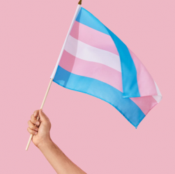 O projeto SOMA “Somos Mais fortes em conjunto” será voltado inicialmente para apoiar iniciativas que beneficiarão mulheres trans e travestis que vivem no Centro de Acolhida Especial Casa Florescer, em São Paulo (SP). #SOMA #LGBTQIA+ #Trans