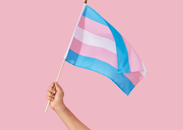 O projeto SOMA “Somos Mais fortes em conjunto” será voltado inicialmente para apoiar iniciativas que beneficiarão mulheres trans e travestis que vivem no Centro de Acolhida Especial Casa Florescer, em São Paulo (SP). #SOMA #LGBTQIA+ #Trans