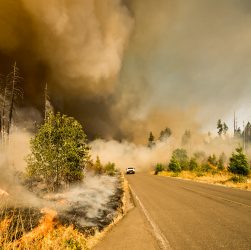 Para a Anistia Internacional, encarar a crise climática como uma emergência de direitos humanos ajuda a mobilizar um espectro maior de pessoas a demandar uma resposta dos governantes.