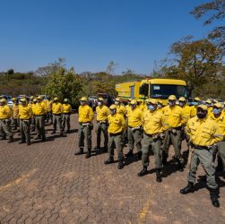 Os caminhões têm capacidade de 7 mil litros e são equipados com tração 4x4, mangotes laterais e bomba extra para operar mata adentro, com possibilidade de extensão da mangueira, além de esguicho-canhão para ataque rápido desde a beira da estrada, permitindo uma distância segura do fogo e a integridade física dos brigadistas.