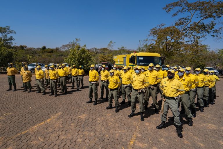 Os caminhões têm capacidade de 7 mil litros e são equipados com tração 4x4, mangotes laterais e bomba extra para operar mata adentro, com possibilidade de extensão da mangueira, além de esguicho-canhão para ataque rápido desde a beira da estrada, permitindo uma distância segura do fogo e a integridade física dos brigadistas.