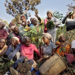 Os sistemas alimentares representam 10% da economia global Foto: © Ryan Brown/ONU Mulheres