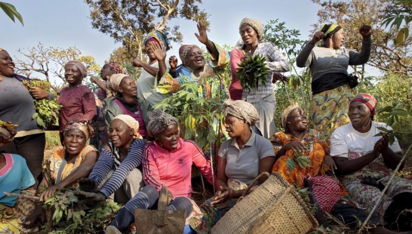 Os sistemas alimentares representam 10% da economia global Foto: © Ryan Brown/ONU Mulheres