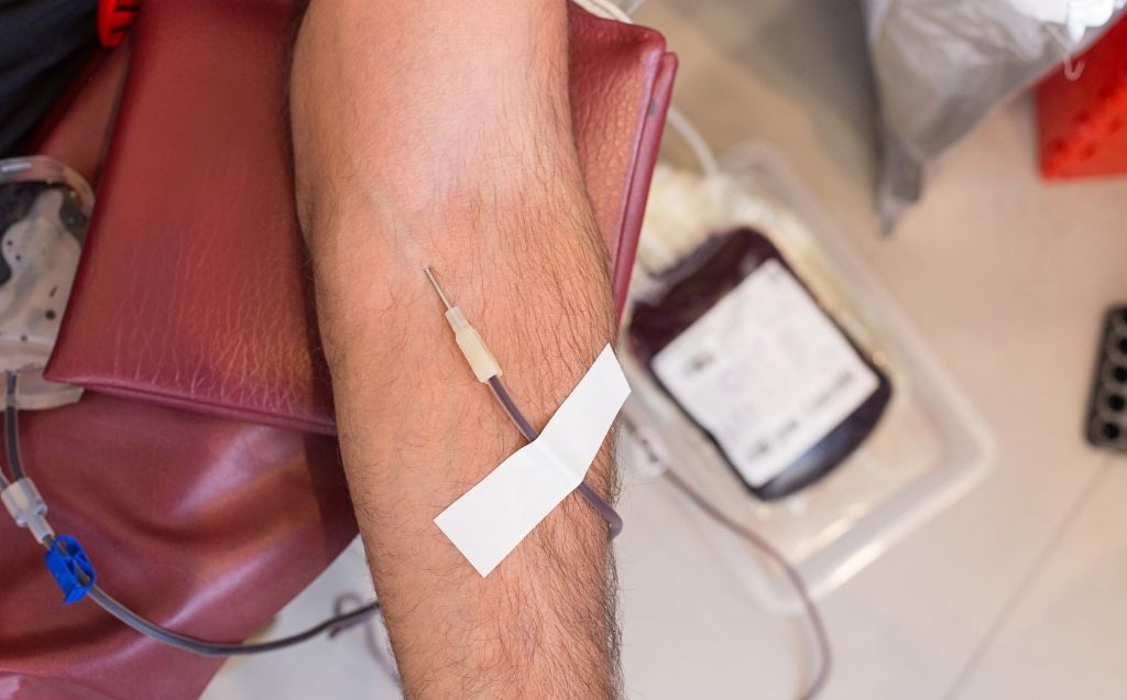 Amor Cantado apoia doação de sangue