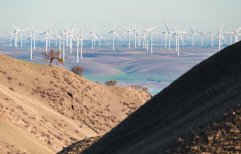 O estudo recomenda que as energias renováveis tenham um percentual claro nas matrizes energéticas nacionais definido por legislações apropriadas e orientado por políticas e financiamentos específicos