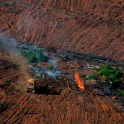 Estudo apresentado na semana passada mostrou que o prejuízo potencial da derrubada de florestas em suas cadeias de valor é de até US$ 5 bilhões, cerca de R$ 24 bilhões/Foto: Christian Braga/Greenpeace