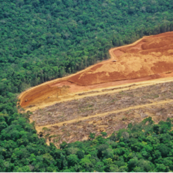 Alemanha e Noruega voltam a estabelecer compromisso com a Amazônia