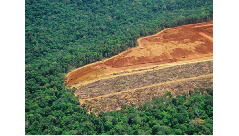 Alemanha e Noruega voltam a estabelecer compromisso com a Amazônia