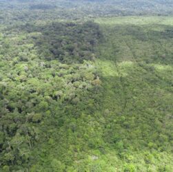 Setor produtivo articula proposta de desenvolvimento sustentável da Amazônia