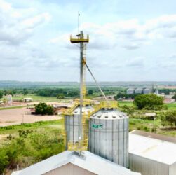 BBF inicia operação de extrusora de soja no estado do Pará
