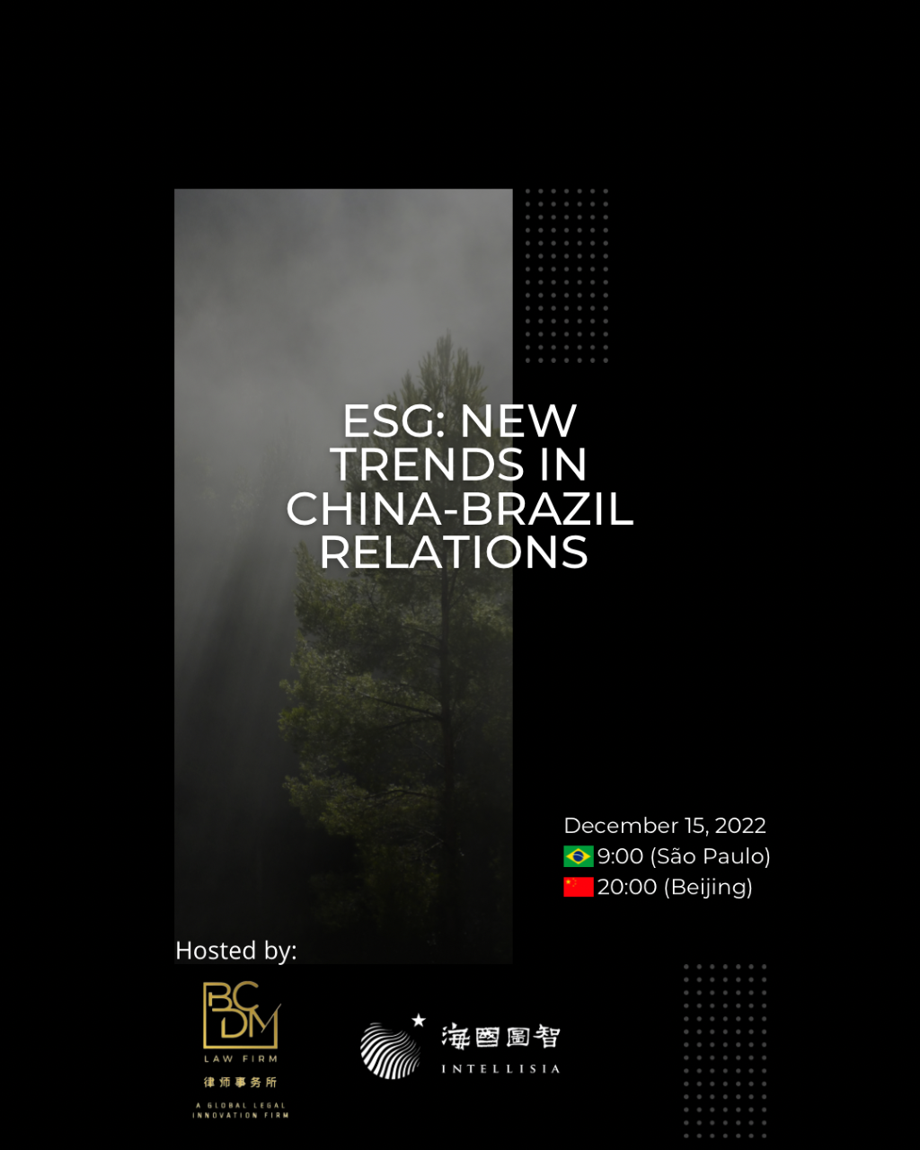 Evento internacional sobre ESG reúne especialistas do Brasil e da China