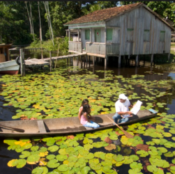 Vaga Lume é uma das vencedoras do prêmio United Earth Amazônia