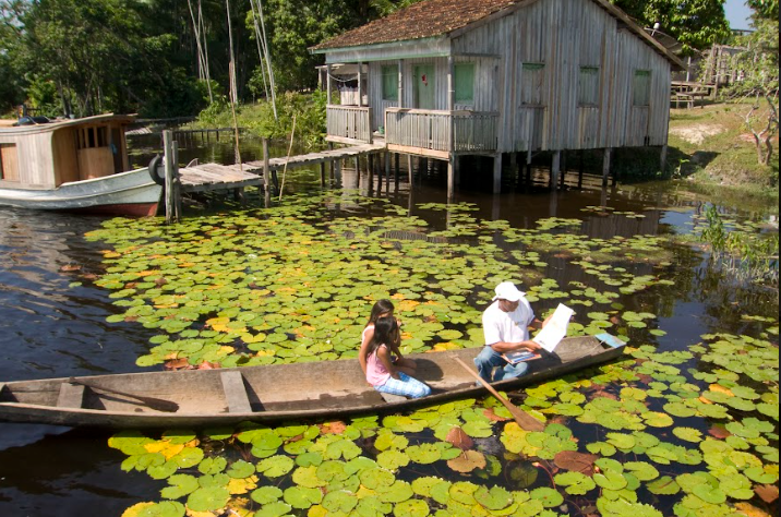 Vaga Lume é uma das vencedoras do prêmio United Earth Amazônia