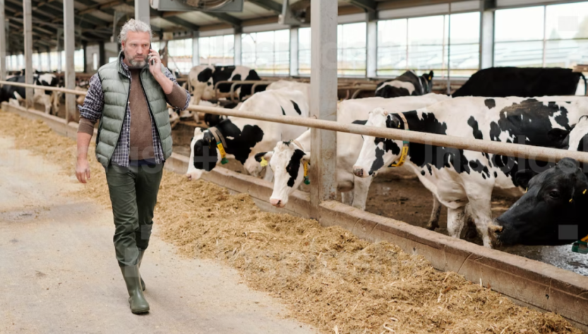 Política de inovação leva mais tecnologia para o campo