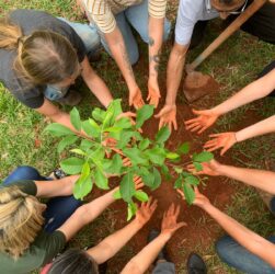 Empresas e ONGs: juntas pelo meio ambiente