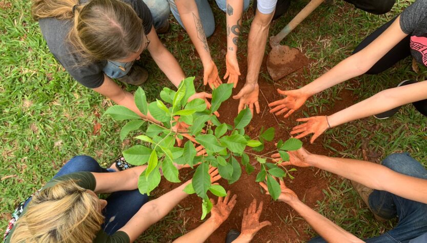 Empresas e ONGs: juntas pelo meio ambiente