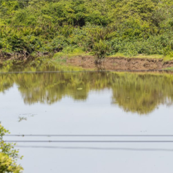 CBH Baía de Guanabara investe em saneamento para garantir acesso à água