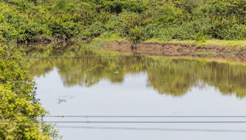 CBH Baía de Guanabara investe em saneamento para garantir acesso à água